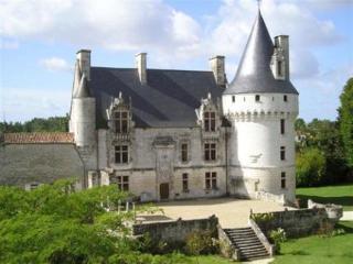 Chateau De Crazannes Εξωτερικό φωτογραφία