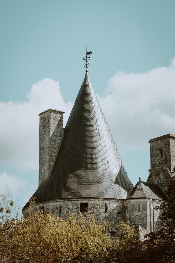 Chateau De Crazannes Εξωτερικό φωτογραφία